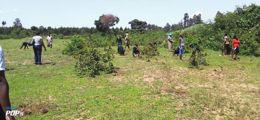 Kakamega tree-planting with Kenya Forest Service